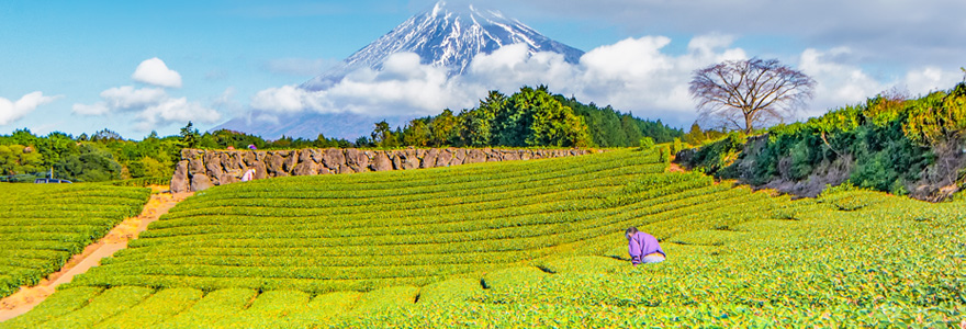 Randonnée du Mont Fuji